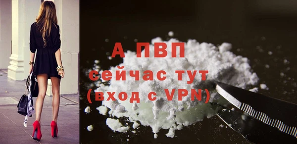 сатива Абаза